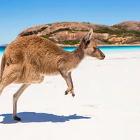 Viaggi organizzati in Australia e Oceania