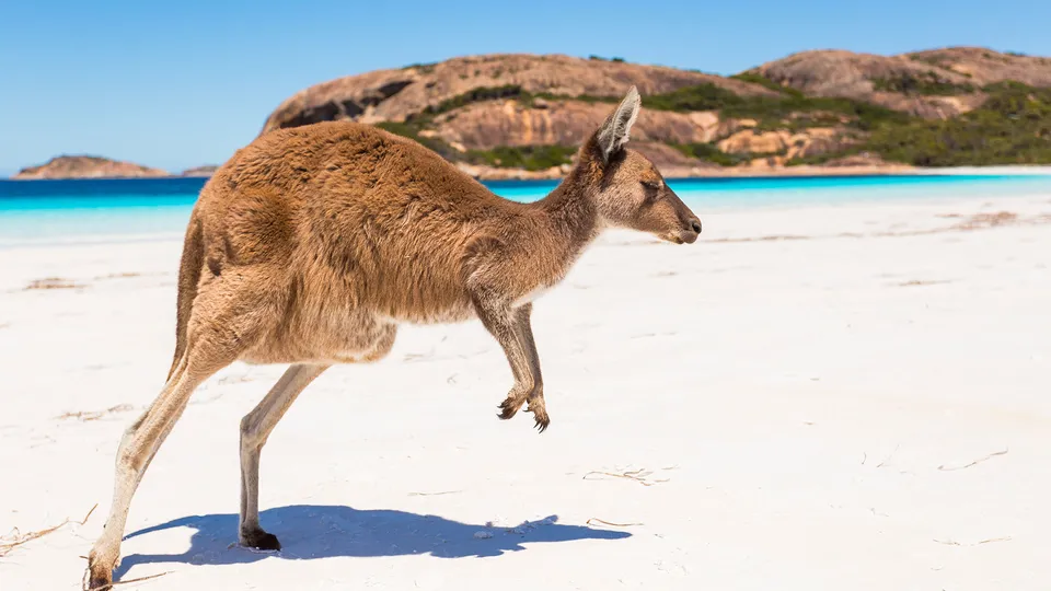 Viaggi organizzati in Australia e Oceania