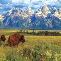 Viaggi organizzati negli Stati Uniti: Yellowstone e Grandi Parchi.